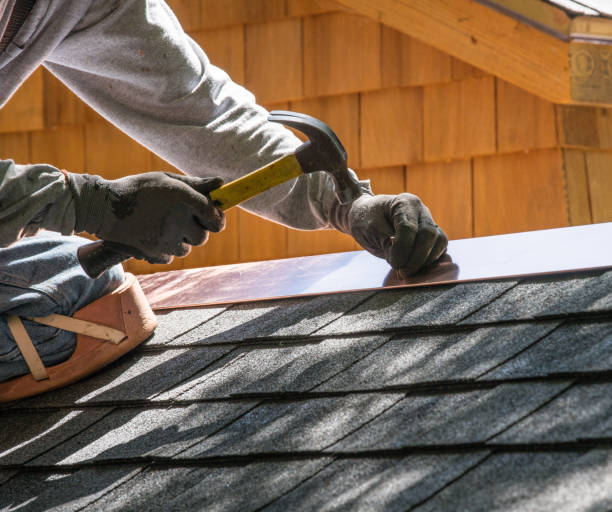 Best Roof Gutter Cleaning  in Goshen, AR